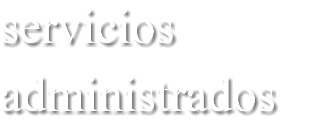 servicios administrados