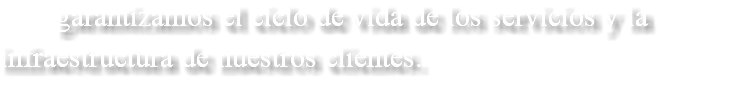  garantizamos el ciclo de vida de los servicios y la infraestructura de nuestros clientes.